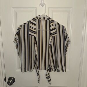 Multicolor Striped Cropped Woman's Top